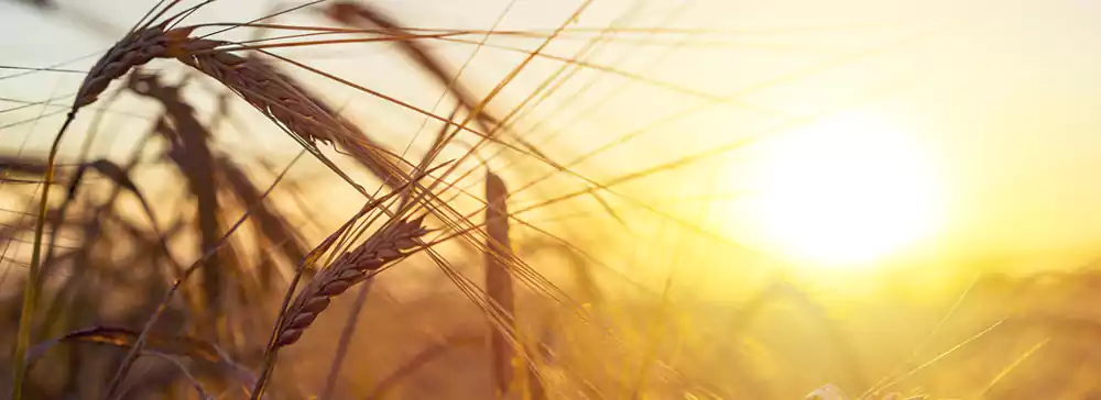 Frigobien Çevre Politikamız